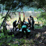 A horse stuck in the mud is rescued by the technical animal rescue team.