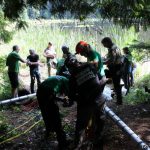A horse stuck in the mud is rescued by the technical animal rescue team.