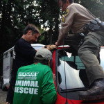 After the rescue, the sheriff helped a woman who had locked herself out of her truck.
