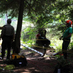 A horse stuck in the mud is rescued by the technical animal rescue team.