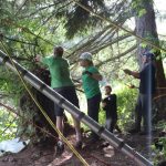 A horse stuck in the mud is rescued by the technical animal rescue team.