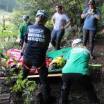 A horse stuck in the mud is rescued by the technical animal rescue team.
