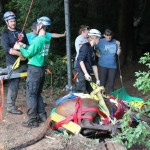 A horse stuck in the mud is rescued by the technical animal rescue team.