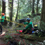 A horse stuck in the mud is rescued by the technical animal rescue team.