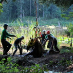 A horse stuck in the mud is rescued by the technical animal rescue team.