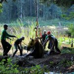 A horse stuck in the mud is rescued by the technical animal rescue team.