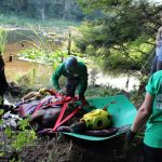 A horse stuck in the mud is rescued by the technical animal rescue team.