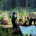 A horse stuck in the mud is rescued by the technical animal rescue team.