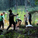A horse stuck in the mud is rescued by the technical animal rescue team.