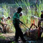 A horse stuck in the mud is rescued by the technical animal rescue team.