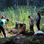 A horse stuck in the mud is rescued by the technical animal rescue team.