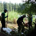 A horse stuck in the mud is rescued by the technical animal rescue team.