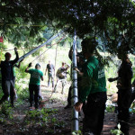 A horse stuck in the mud is rescued by the technical animal rescue team.