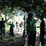 A horse stuck in the mud is rescued by the technical animal rescue team.
