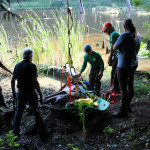 A horse stuck in the mud is rescued by the technical animal rescue team.