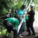 A horse stuck in the mud is rescued by the technical animal rescue team.