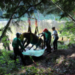 A horse stuck in the mud is rescued by the technical animal rescue team.