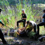 A horse stuck in the mud is rescued by the technical animal rescue team.