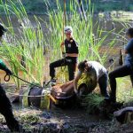 A horse stuck in the mud is rescued by the technical animal rescue team.