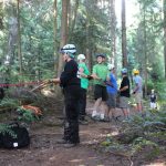 A horse stuck in the mud is rescued by the technical animal rescue team.