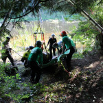 A horse stuck in the mud is rescued by the technical animal rescue team.