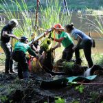 A horse stuck in the mud is rescued by the technical animal rescue team.