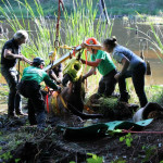 A horse stuck in the mud is rescued by the technical animal rescue team.