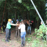 A horse stuck in the mud is rescued by the technical animal rescue team.