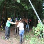 A horse stuck in the mud is rescued by the technical animal rescue team.