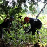 A horse stuck in the mud is rescued by the technical animal rescue team.