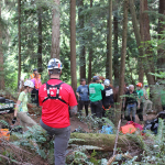 A horse stuck in the mud is rescued by the technical animal rescue team.