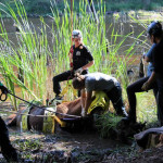 A horse stuck in the mud is rescued by the technical animal rescue team.