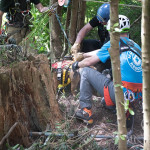 Flint the dog is up the cliff and on solid ground with rescuers around him.