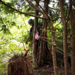 A rescuer stands on the edge of the cliff, to watch and assist what is going on below.