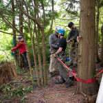 Rescuers prepare the rope system.
