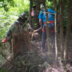 Two rescuers are being hauled up on the rope. They are right at the edge, setting the dog down.