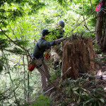 Two rescuers are beginning to descend over the edge of the cliff.