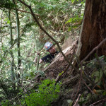 Two rescuers are being hauled up on the rope. The head of the first is visible.