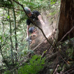 Two rescuers are being hauled up on the rope. Flint the dog is in their arms.