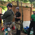 The rescue team make a plan. One of them is holding a dog harness built for lifting.