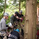 The rescue team prepares rope systems at the edge of the cliff.