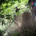 Two rescuers are being hauled up on the rope. Flint the dog is in their arms.