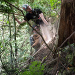 Two rescuers are being hauled up on the rope. Flint the dog is in their arms.