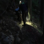 A dark trail and recently rescued dog are lit by headlamps.