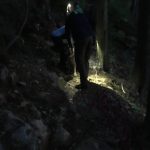 A dark trail and recently rescued dog are lit by headlamps.