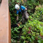 A rescuer reaches the top with Leo the dog in tow.