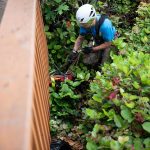 A rescuer reaches the top with Leo the dog in tow.