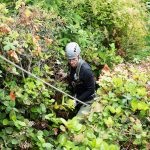 A volunteer stands in heavy shrubs