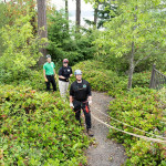 Volunteers stand ready at a rope haul system.
