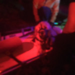 Bella is in the litter and about to be strapped in for transport to the road. Night time photo of dog in a litter.